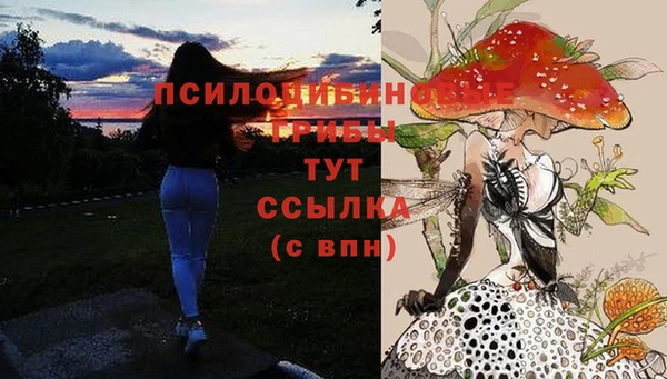 хмурый Алзамай