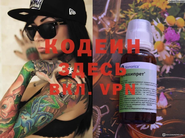 индика Алексеевка