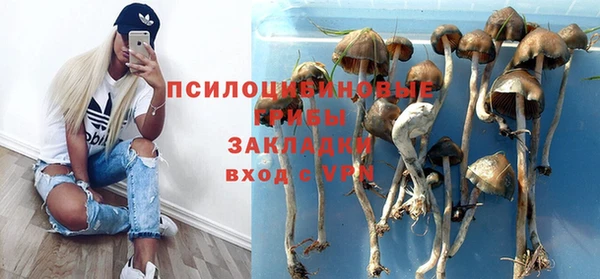 индика Алексеевка