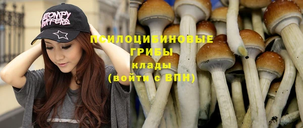 молекула духа Алексин