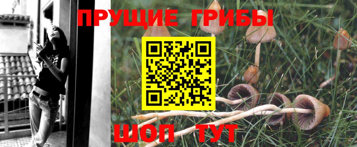 Изобильный  Псилоцибиновые грибы MAGIC MUSHROOMS  купить   Галлюциногенные грибы ЛСД  Вход с VPN 