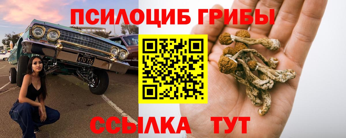 Псилоцибиновые грибы Cubensis Изобильный
