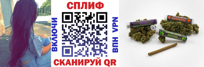 закладка  Изобильный  Бошки Шишки план 